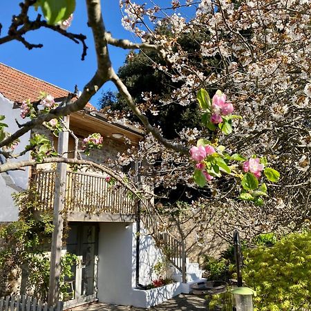 Westbury Cross House Bed & Breakfast Екстериор снимка